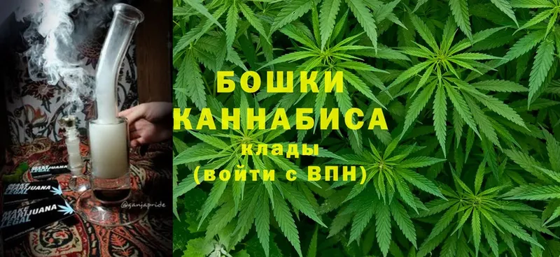 Бошки марихуана Ganja  нарко площадка клад  Шуя 